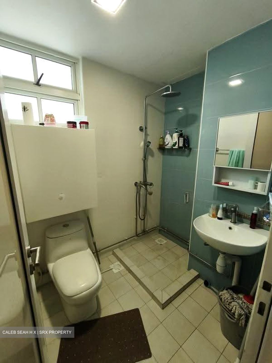 Estella Gardens (D17), Condominium #623124081